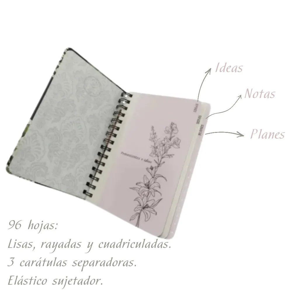 Texto del párrafo (1).webp