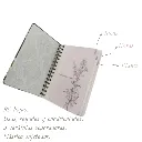 Texto del párrafo (1).webp
