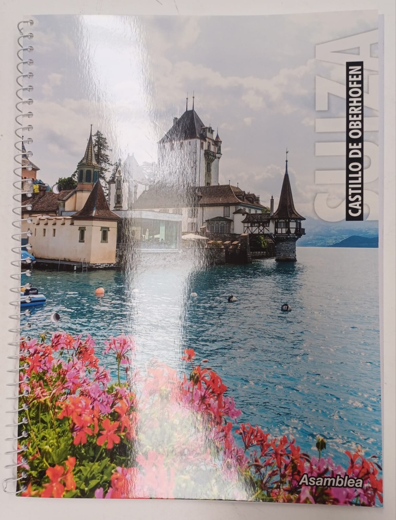 🔴CUADERNO A4 80 HJS ASAMBLEA LEYSA