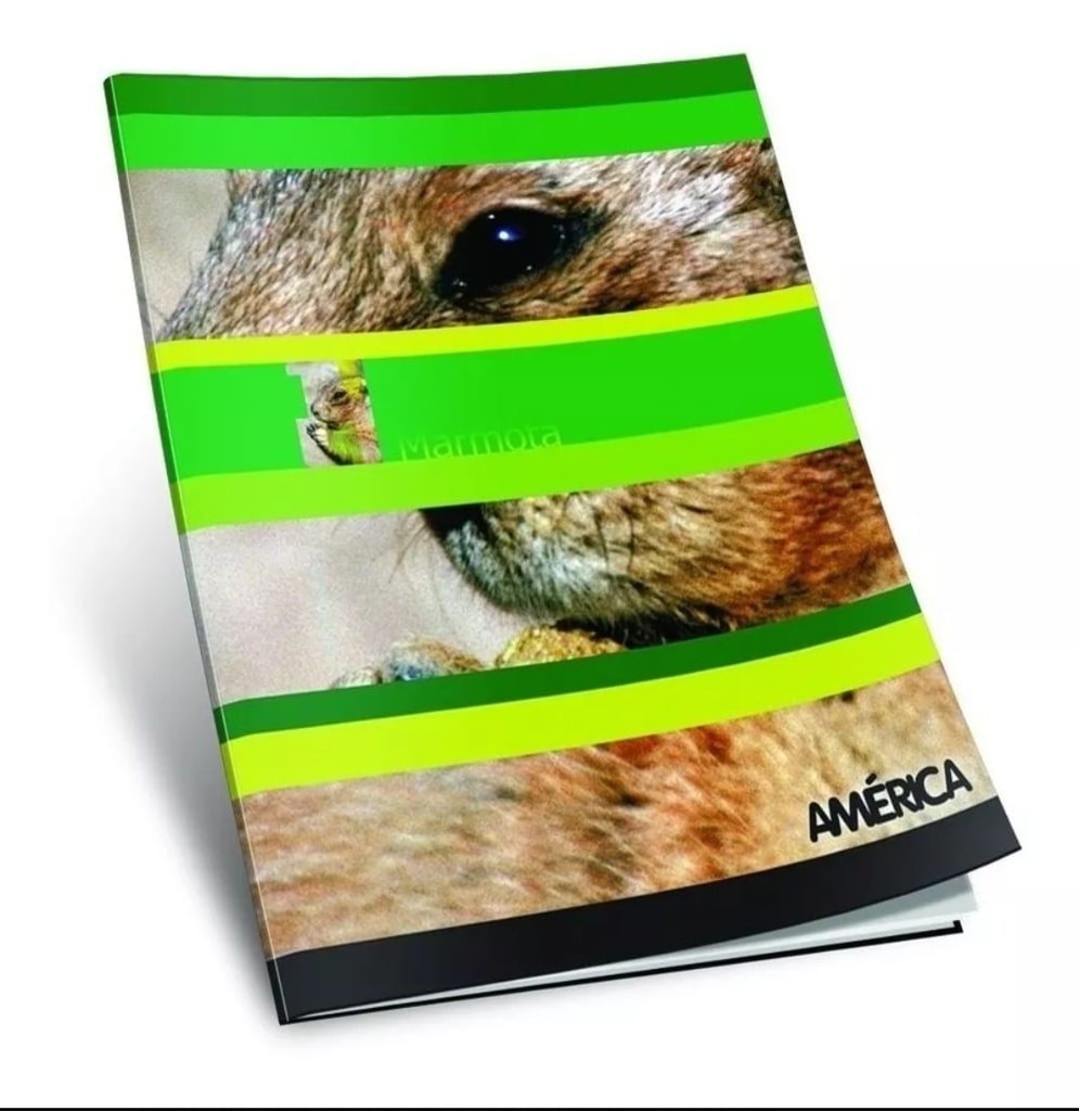 🔴Cuaderno America Tapa Blanda x48 (Rayada)