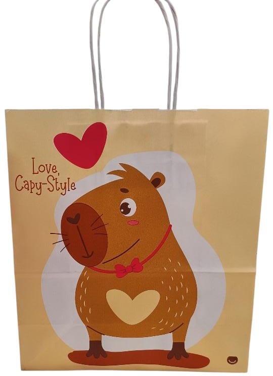 BOLSA MOOD CAPY 22X10X24