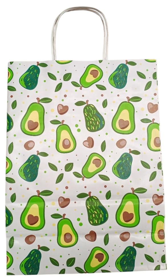 BOLSA PALTAS 22X10X30