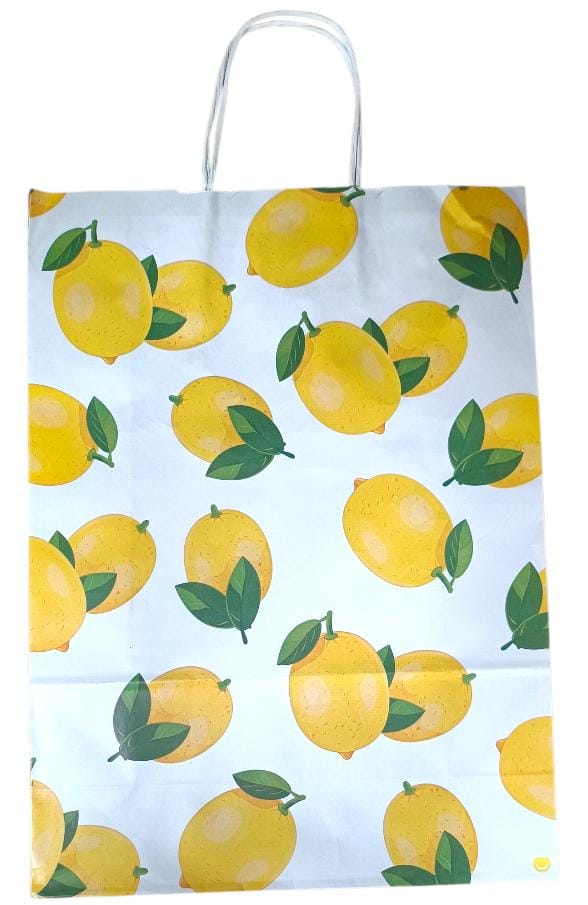 Bolsa de Regalo 30x41
