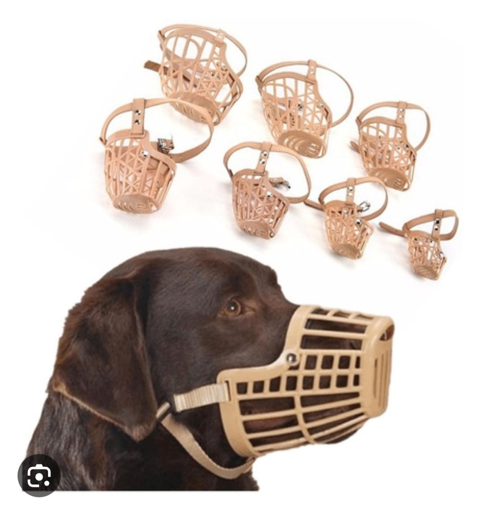 [ART103] Bosal Mascota Grande N5 y N6 N7