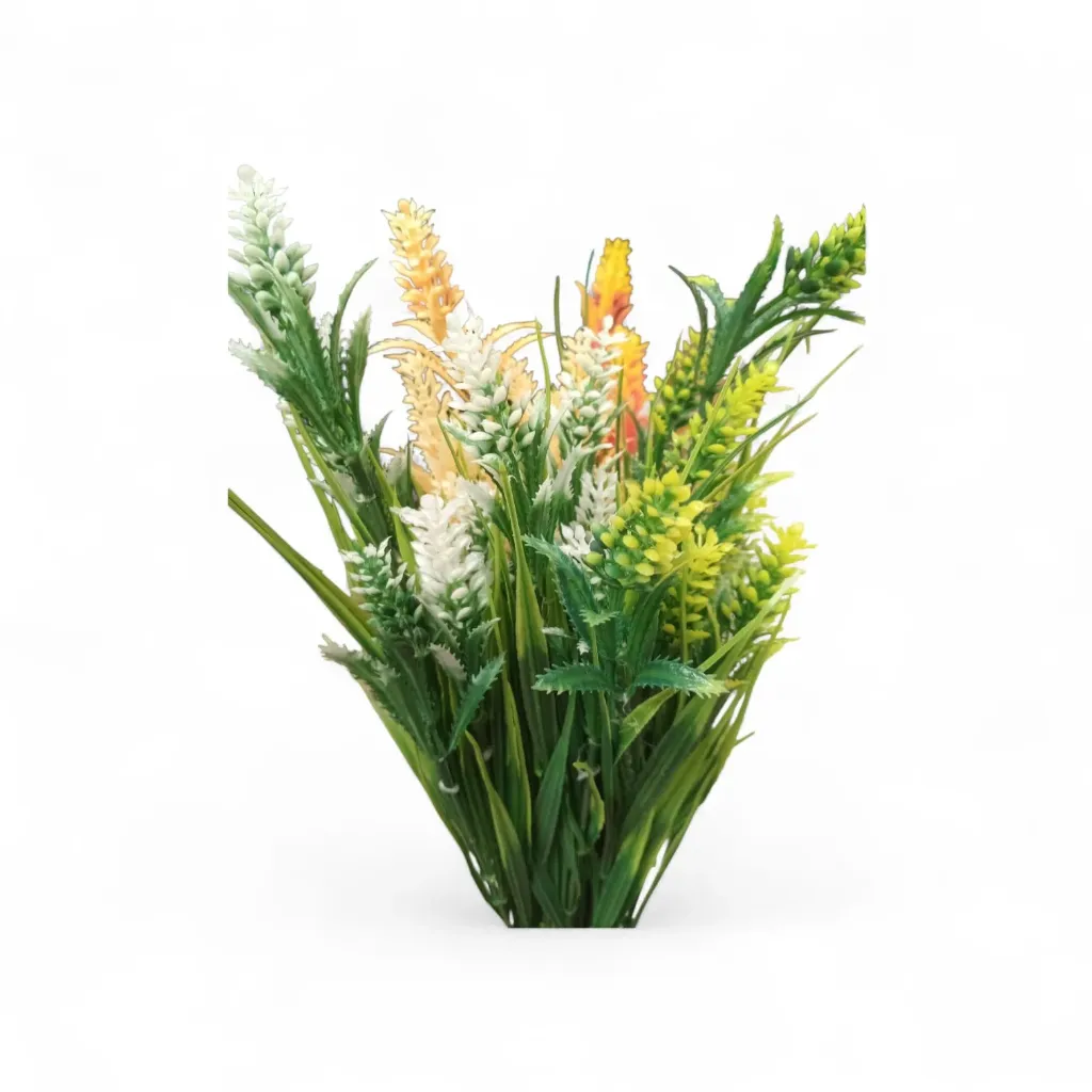 Ramo De Setaria Viridis