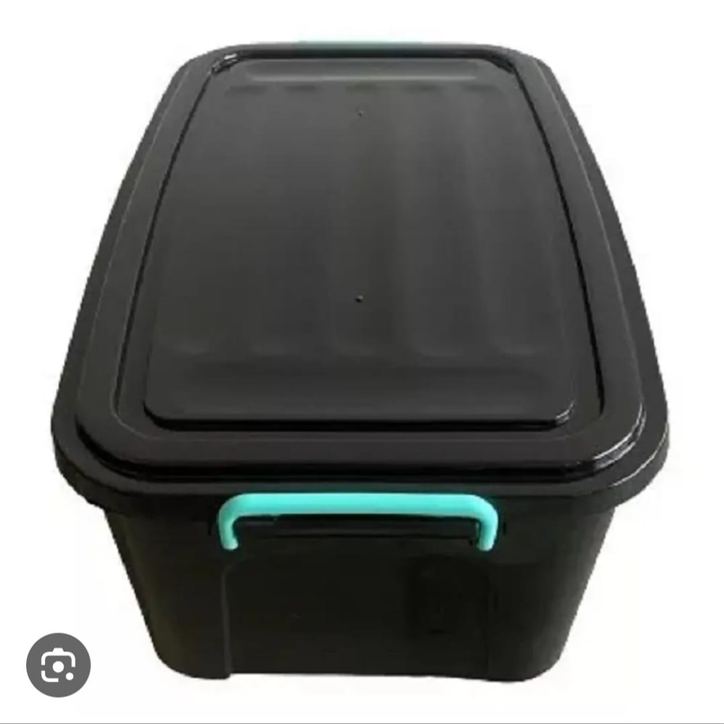 Organizador Gemplast 30lt (1)