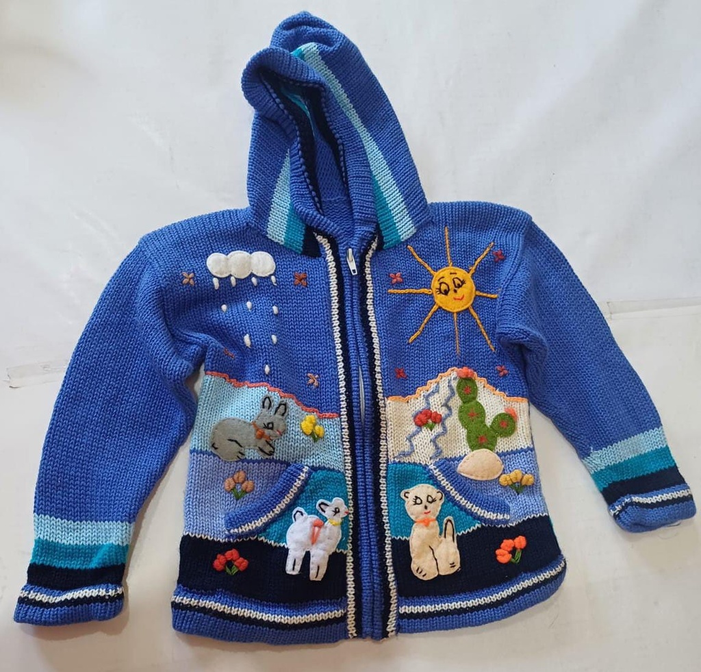 [ART1992] Campera tejida y bordada para niño